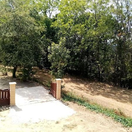 Chalet El Cant Dels Ocells Fillols Dış mekan fotoğraf