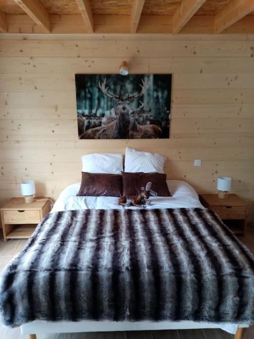 Chalet El Cant Dels Ocells Fillols Dış mekan fotoğraf