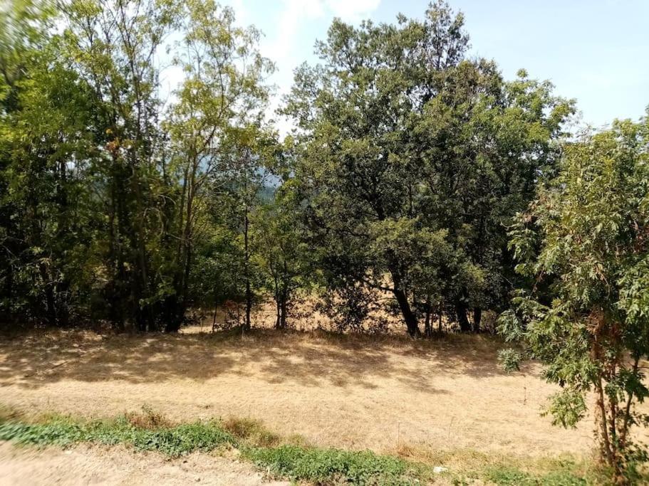 Chalet El Cant Dels Ocells Fillols Dış mekan fotoğraf